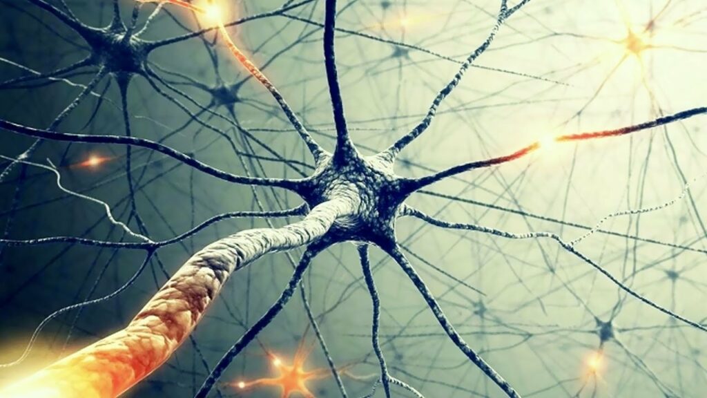10 Ways to Increase the Dopamine In Your Brain