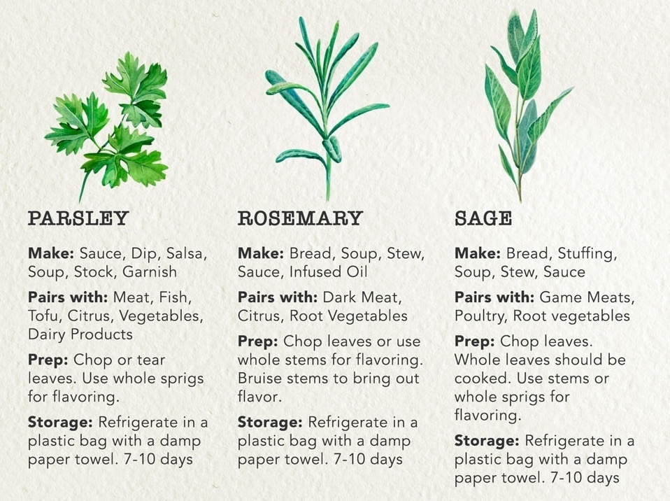 Guide to Cooking with Fresh Herbs