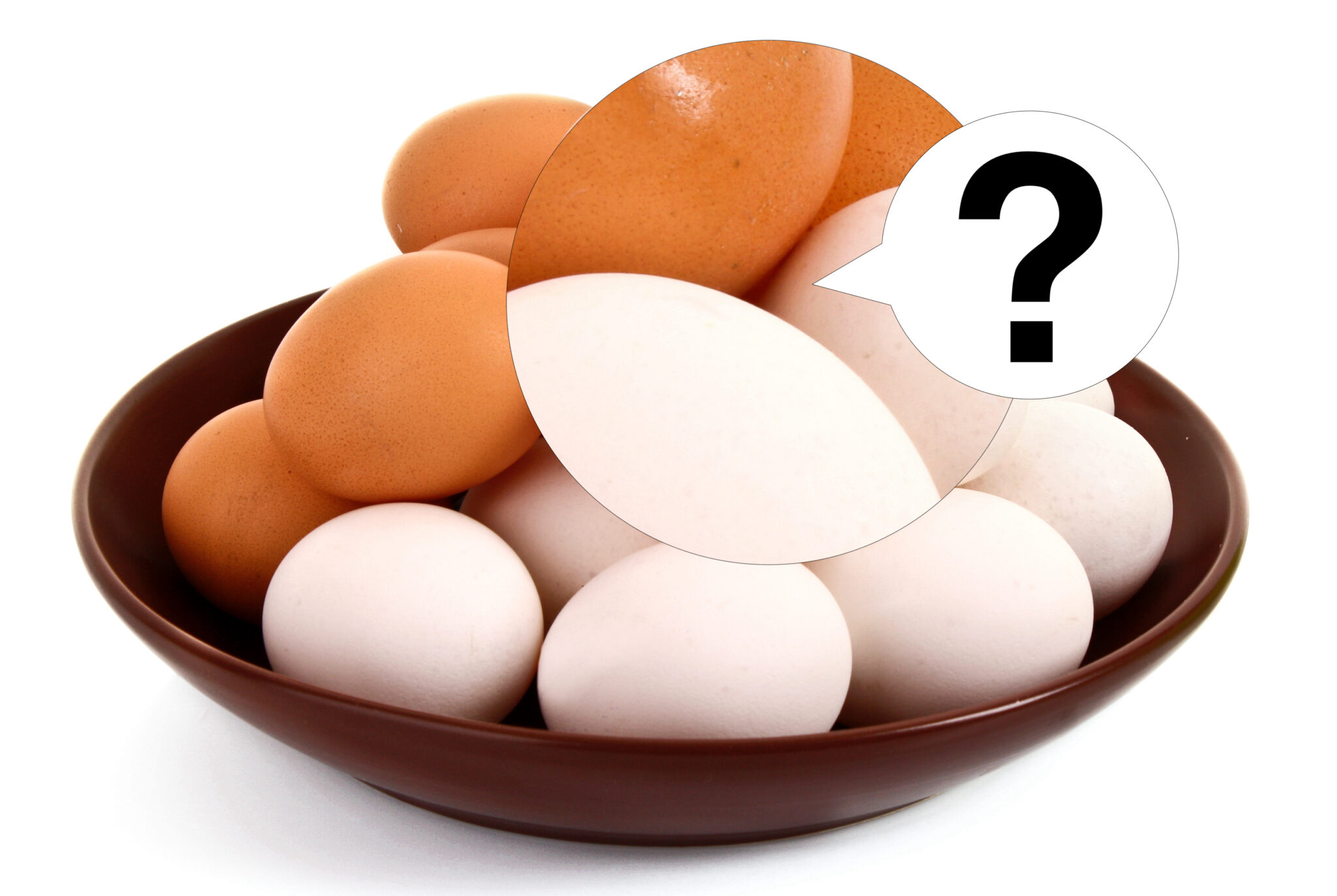 What's The Difference Between Brown And White Eggs?